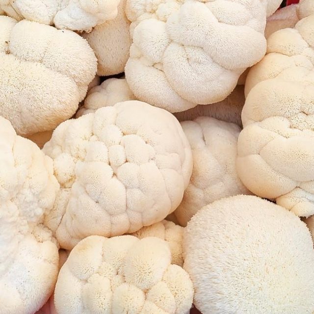 Here’s a hint of what our first product is made from… do you know what it is? 👀👀  #mushrooms #vegansofnj #sustainablefood