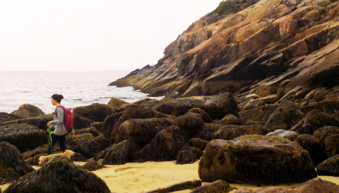 Woman walking on beach with dog